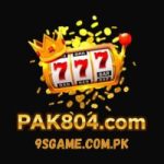PAK804 Game