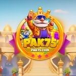PAK75 Game